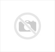 Bibbun Kisiye Ozel Denge Tahtasi Destek Dukkan